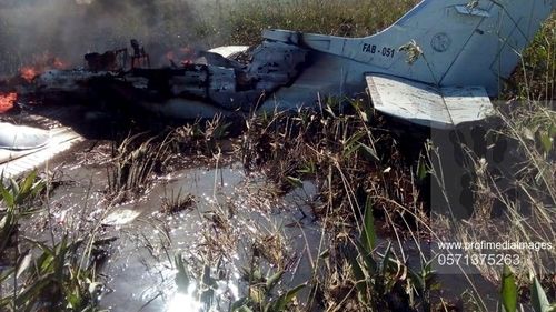 Cinci persoane au supraviețuit 36 de ore într-o mlaștină infestată de aligatori după prăbușirea unui avion