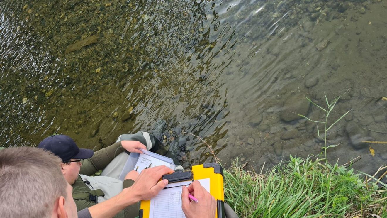 StudiiDeMediu.ai: ghidul tău în jungla documentațiilor de mediu