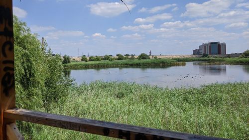 Ministerul Mediului anunță că planul de management al Parcului Văcărești costă 2 milioane de lei / Ce activităţi vor fi permise