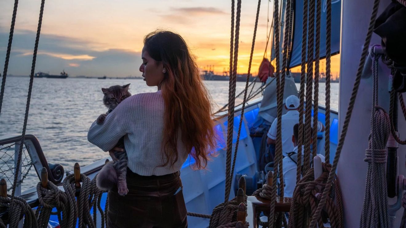 Oferta turistică inedită: Stăpânii de pisici și câini îşi pot duce animalele de companie pe croaziere luxoase în Singapore