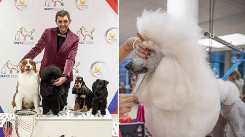 Meseria de frizer de animale, premiată la cel mai înalt nivel. Un groomer din Franța, desemnat cel mai bun din 200 de concurenți