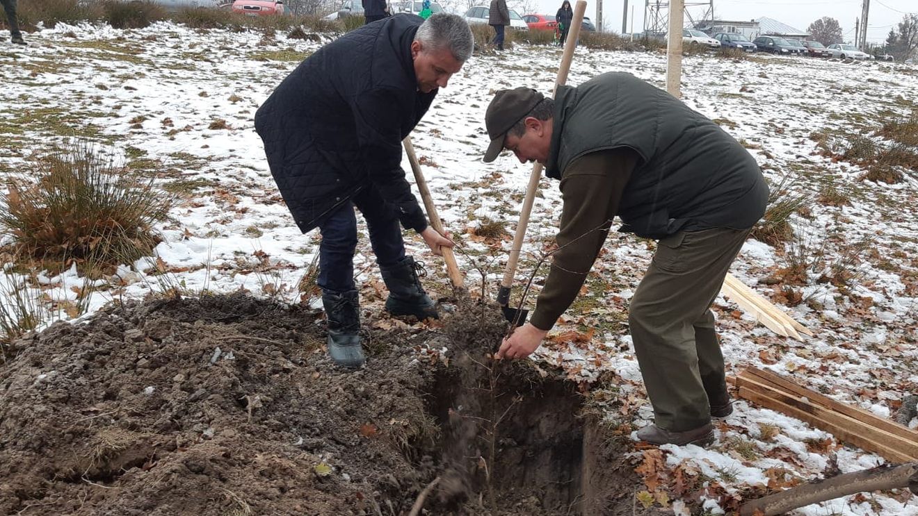 Premieră în Bihor: Banii de la centru, împărțiți comunelor care fac curățenie pe marginea drumurilor naționale. Au primit fonduri localitați cu primari de la toate partidele