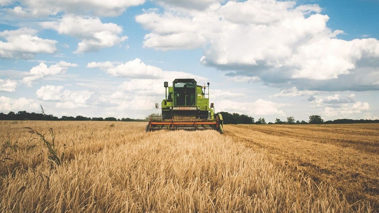 Războiul din Ucraina - un domino de consecințe pe piața mondială a alimentelor. Conflictul amenință producția globală de cereale, furnizarea de uleiuri comestibile și exporturile de îngrășăminte