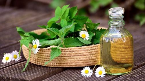 Nou centru de cercetări pentru plante medicinale şi aromatice, inaugurat la Universitatea de Medicină Târgu Mureş