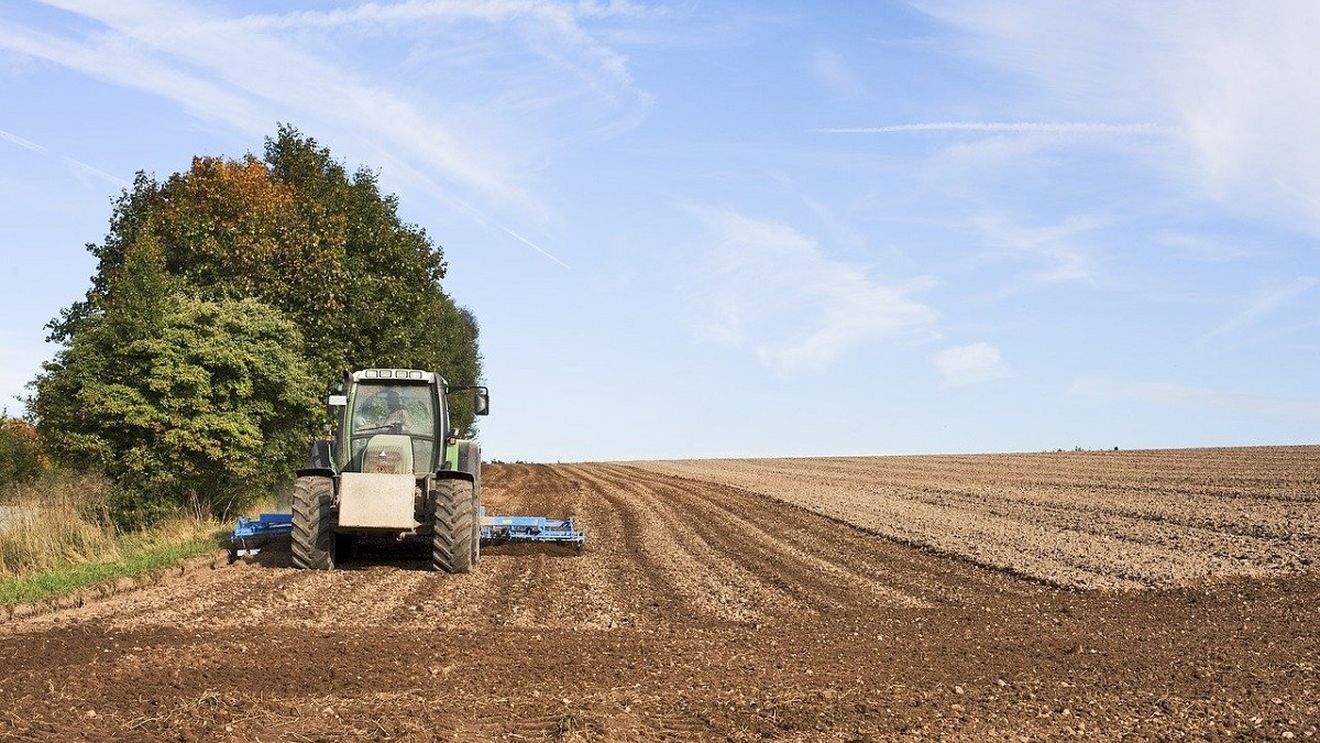 Suprafaţa cultivabilă din estul României se concentrează în mâinile unor investitori danezi