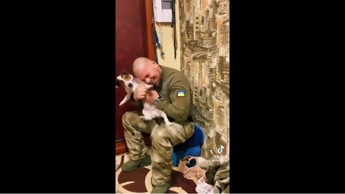 VIDEO Reîntâlnire emoționantă între un soldat ucrainean si câinele său, după luni de zile de război