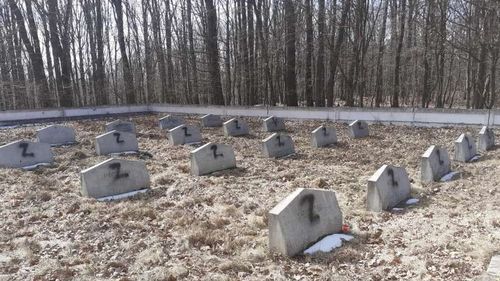 Anchetă demarată după ce pe mormintele soldaţilor ruşi dintr-un cimitir ieșean a fost scrisă litera Z
