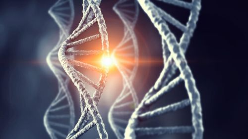 Oamenii de știință din SUA au creat „flori de ADN”, nanoboți care pot livra medicamente în organism