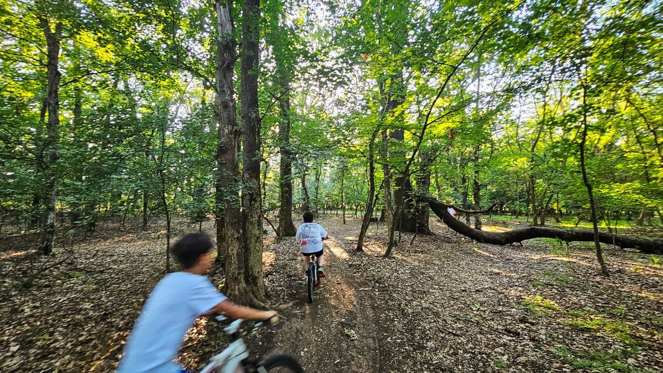 Piste de biciclete pe o lungime de peste 190 kilometri, pe digurile a cinci râuri din vestul României / Investiţie de aproape 80 milioane lei