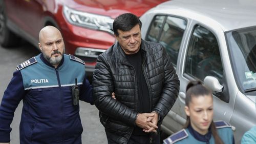 Averea de milioane de euro a familiei lui Niculae Bădălău: apartamente, terenuri, vile și un complex de organizări evenimente apar pe numele unor firme și copiilor fostului lider PSD acuzat de corupție