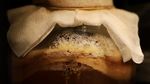 Este kombucha chiar atât de sănătoasă? Un nou studiu pune sub semnul întrebării unele dintre cele mai populare beneficii