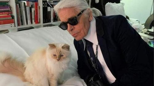 Animalele de companie care au moștenit milioane de dolari: câini, pisici și papagali răsfățați și după moartea stăpânilor lor bogați