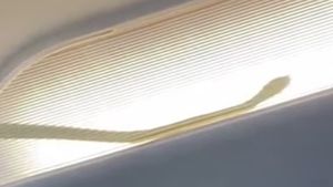 VIDEO Un avion de călători malaezian, nevoit să devieze de la traseu după descoperirea unui şarpe în corpurile de iluminat din cabină