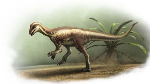 STUDIU O nouă specie de dinozaur, de mărimea unui Labrador, descoperită în Colorado / Creatura cutreiera actualul teritoriu al SUA în urmă cu 150 de milioane de ani