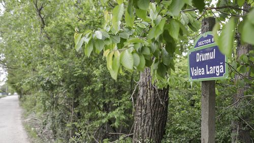 USR solicită desființarea comisiilor județene de atribuire de denumiri de străzi sau instituții și propune transferarea atribuțiilor către Direcțiile Județene pentru Cultură: "Stop risipei din bani publici"