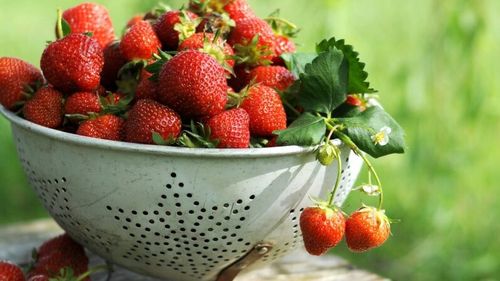 Patiserii francezi au realizat un tort de căpşuni lung de aproape 122 de metri, despre care spun că este cel mai lung din lume realizat vreodată