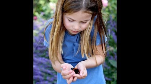 Micuța prinţesă Charlotte a Marii Britanii se alătură unui proiect de protejare a fluturilor