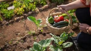 Istoria gusturilor la români: Cum au ajuns castraveții și tomatele repere ale bucatelor autohtone