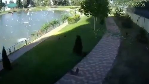 VIDEO Momentul în care o rachetă explodează lângă un parc din apropierea mall-ului din Kremenciuk, unde au murit cel puțin 18 persoane