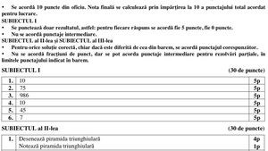 Baremul de notare a elevilor de clasa a VIII-a care au susținut simularea examenului de Matematică a fost publicat de Minister