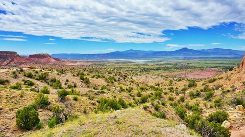 19 persoane au murit într-un schimb de focuri în statul mexican Sinaloa / Un lider local de cartel a fost arestat