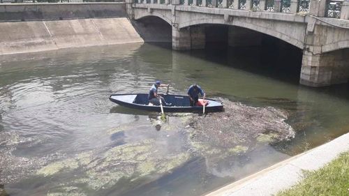 Asociația Ivan Patzaichin anunță constituirea pentru revitalizarea râului Dâmboviţa