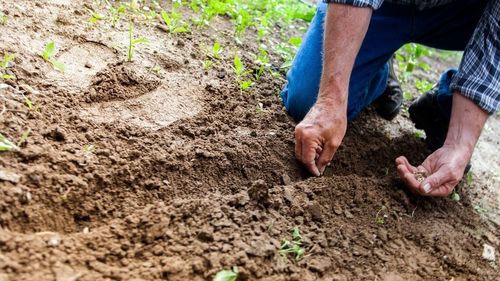 Comisia Europeană va propune un al doilea pachet de despăgubiri pentru fermierii afectați de importul de cereale din Ucraina, în valoare de peste 70 de milioane de euro