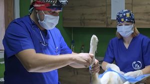 VIDEO EXCLUSIV | Fiecare viață merită o șansă. Mărturii exclusive din Ucraina, de la primul om din administrație trimis să ajute animalele lovite de război: „Am văzut urmările directe ale războiului. Oamenii nu își mai permit să trateze animalele. Am fost văzuți ca niște salvatori”