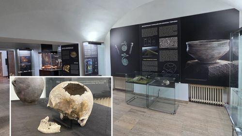 Operație reușită pe creier, veche de 4.500 de ani, în expoziția Muzeului Național al Unirii din Alba Iulia. Craniul trepanat de la Livezile, una dintre cele mai spectaculoase descoperiri preistorice din România. Ce arată studiile antropologice