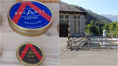 VIDEO Valea Aran: Cum s-a adaptat o uzină de dragul protejării mediului, înființând o fermă piscicolă și vânzând caviar. Un (mai mult decât) fermier cu (multă) valoare adăugată