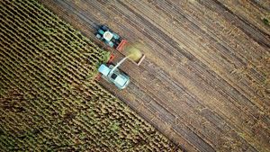 Fermierii din Agrinnovator lansează un Ghid pentru digitalizarea agriculturii din România