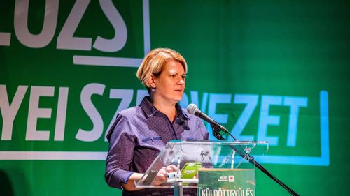 Vicepreședintele executiv al UDMR, Anna Horvath, a fost condamnat definitiv de ÎCCJ la închisoare cu suspendare și 100 de zile de muncă în folosul comunității / Reacția UDMR: Sentința este nedreaptă și neechitabilă