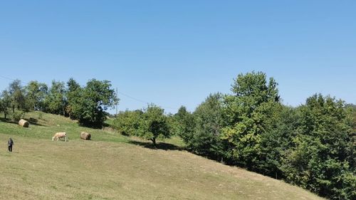 FOTO – VIDEO | Locul din Maramureș unde natura dictează ritmul vieții / Case risipite pe dealuri, hrana din gospodărie și povești spuse în jurul vetrei
