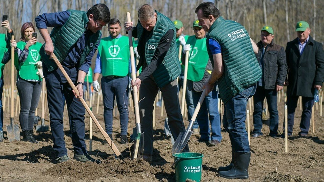 VIDEO Iohannis și Orban au lansat Campania Națională de Împădurire „O pădure cât o țară”