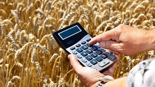 Cât se câștigă în agricultura românească / Director DAJ Maramureș: „Marea problemă este lipsa forței de muncă” / Zilierii și fluctuația personalului ridică, de asemenea, probleme