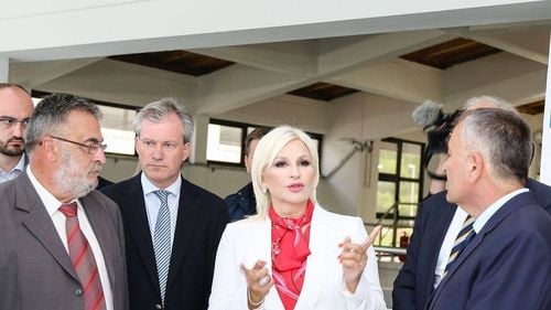 Serbia va construi o conductă de gaze până la granița cu România