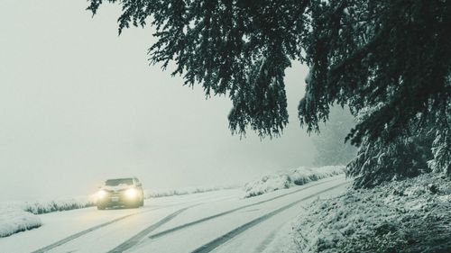 Ninsorile abundente și îngheţul din Europa au dus la oprirea transportului şi închiderea şcolilor