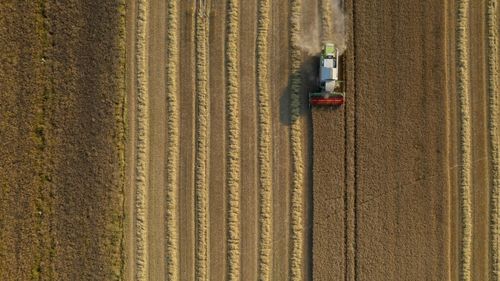 Dan Motreanu: Comisarul european pentru agricultură ne-a spus foarte clar că România, prin Ministerul Agriculturii, nu a putut demonstra pierderile avute de fermieri