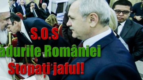Petiție împotriva inițiativei legislative a lui Liviu Dragnea prin care bisericile vor primi sute de mii de hectare de pădure: PSD cumpără susținerea electorală a Bisericilor printr-o pomană fără precedent în istoria recentă a României