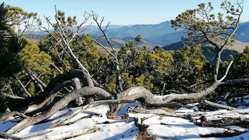 EXCLUSIV Prefectul de Maramureș: Avem un flux de cetățeni ucraineni cu 15-20% mai mare decât într-o zi obișnuită