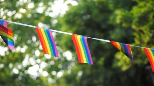 Asociație LGBT: Anularea evenimentului „Tramvaiul Rainbow” de către STB reprezintă un abuz și o discriminare fățișă / Solicităm primarului Nicușor Dan să intervină