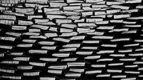 Pictorul francez Pierre Soulages, maestrul stilului outrenoir, a murit la vârsta de 102 ani