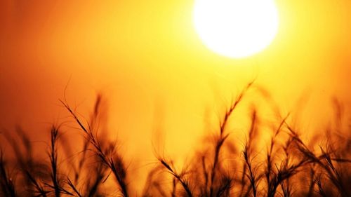 Prognoza pentru octombrie: Secetă și temperaturi de vară, care pot ajunge la 35 - 38 de grade Celsius/ Meteorologi: Vremea se menţine însorită, deşi nopţile devin tot mai reci
