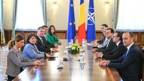 SURSE Președintele Iohannis le-a spus partidelor, la consultări, că va emite decretul pentru convocarea referendumului pe 25 aprilie, cu sau fără avizul Parlamentului