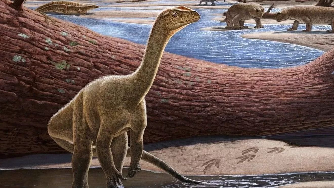 Oamenii de știință au descoperit în Zimbabwe cel mai vechi dinozaur din Africa, care are o vechime de peste 230 de milioane de ani