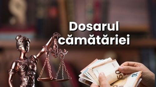 Cum a lucrat Înalta Curte în favoarea cămătarilor. Lia Savonea, în completul care a luat decizia