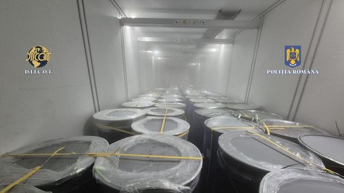 Captură record de cocaină în Portul Constanța / Drogurile erau ascunse în 16 tone de pulpă de fructe congelată