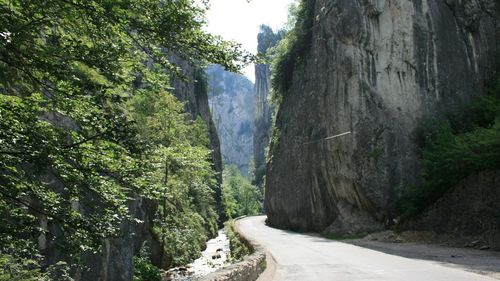 Cheile Bicazului, risc pentru șoferi / Sunt opt zone cu risc major de căderi de pietre şi arbori / Prefectul de Neamț vrea construcția unei structuri de sprijin de tip tunel pentru protejarea traficului auto