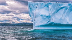 Cel mai mare aisberg din lume a rămas imobilizat lângă o insulă bogată în faună din Antarctica