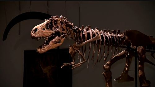 Cum arăta dieta unui dinozaur adolescent: O fosilă rară descoperită în Canada oferă răspunsul